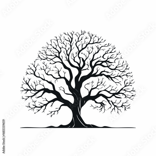 Oak tree silhouette no leaves. This image shows a detailed silhouette of an oak tree without leaves, emphasizing its stark and natural elegance. Vector clipart illustration design.
