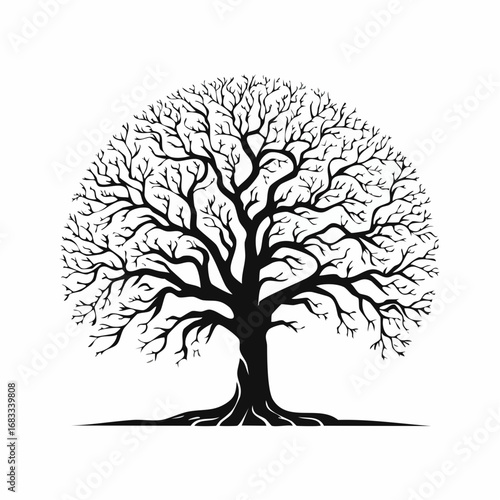 Oak tree silhouette no leaves. This image shows a detailed silhouette of an oak tree without leaves, emphasizing its stark and natural elegance. Vector clipart illustration design.
