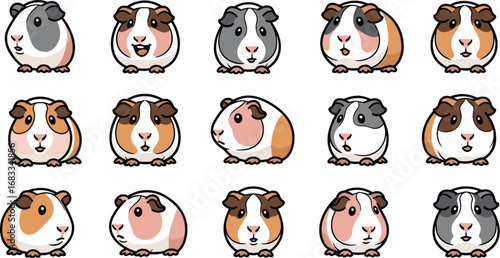 Cartoon guinea pig collection with various coat colors and expressions