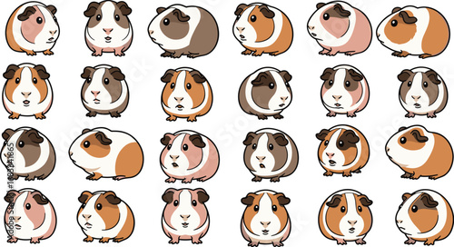 Collection of twenty-four guinea pig cartoons with varied colorings and expressions