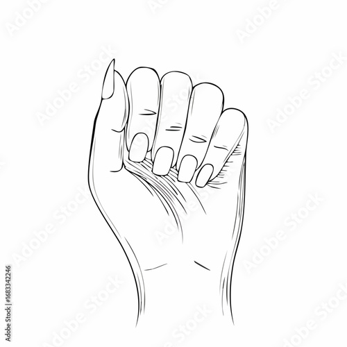 Hand nail drawing. It is a black and white outline image of a hand with visible nails, emphasizing the details of the fingernails. Vector sketch line art draw.
