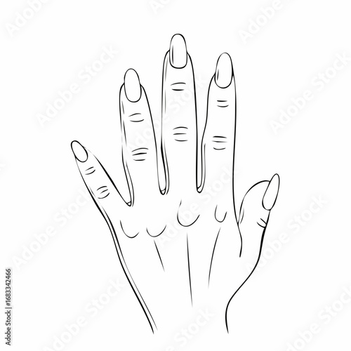Hand nail drawing. It is a black and white outline image of a hand with visible nails, emphasizing the details of the fingernails. Vector sketch line art draw.