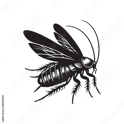 Cockroach Silhouette Vector Illustration, Solid White Background.