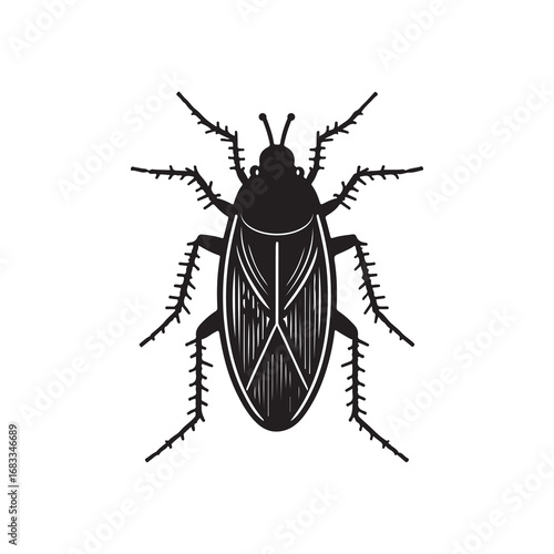 Cockroach Silhouette Vector Illustration, Solid White Background.