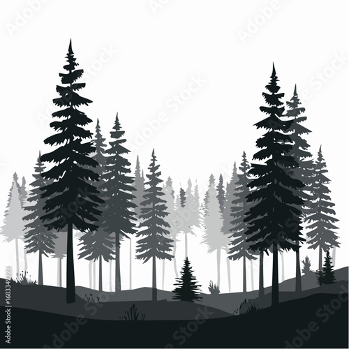 Forest scene silhouette. This image depicts a serene forest with tall trees in a grayscale silhouette, showcasing a tranquil and natural woodland landscape. Vector clipart illustration design.