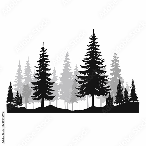 Forest scene silhouette. This image depicts a serene forest with tall trees in a grayscale silhouette, showcasing a tranquil and natural woodland landscape. Vector clipart illustration design.