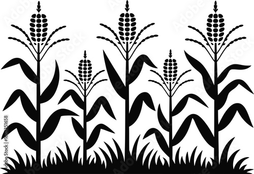 Searchable corn stalks silhouette art keywords for top ranking