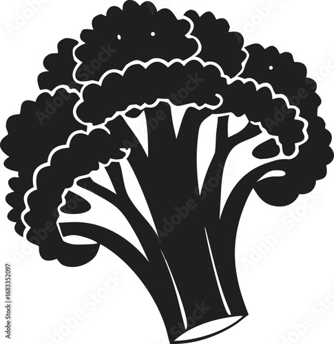 vector illustration of black broccoli