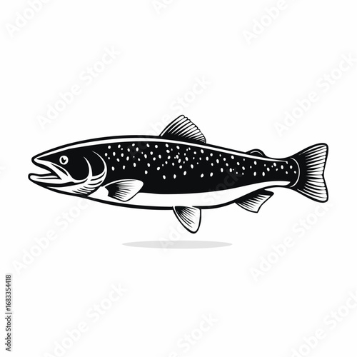 Trout silhouette. This image shows a trout fish, also referred to as a freshwater species or aquatic animal, with streamlined fins and an elegant body shape. Vector clipart black illustration design.
