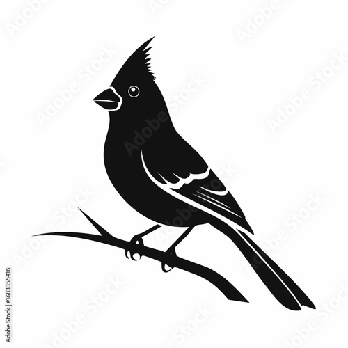 Red cardinal silhouette. This image shows a black silhouette of a red cardinal bird perched, displaying its distinctive crest and sleek body shape. Vector clipart black illustration design.