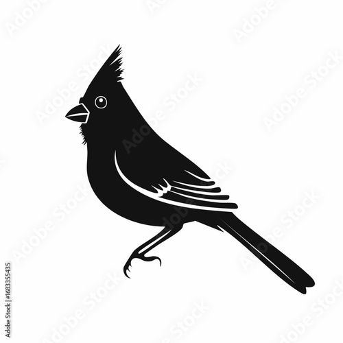 Red cardinal silhouette. This image shows a black silhouette of a red cardinal bird perched, displaying its distinctive crest and sleek body shape. Vector clipart black illustration design.