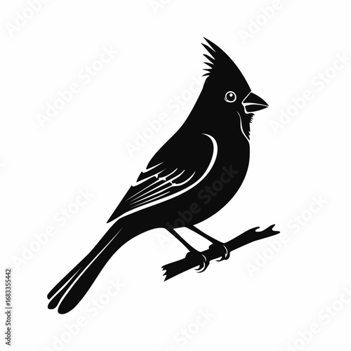 Red cardinal silhouette. This image shows a black silhouette of a red cardinal bird perched, displaying its distinctive crest and sleek body shape. Vector clipart black illustration design.