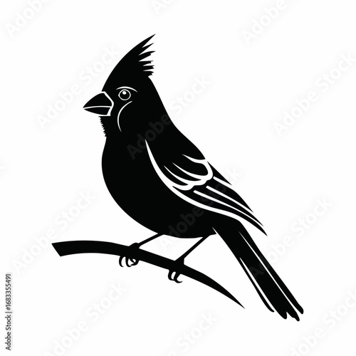 Red cardinal silhouette. This image shows a black silhouette of a red cardinal bird perched, displaying its distinctive crest and sleek body shape. Vector clipart black illustration design.