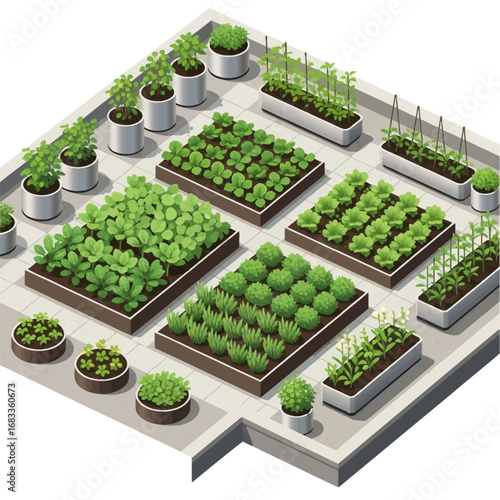 Title: Rooftop farming layout vector, an isometric illustration of a green garden with various plants and vegetables growing on a building