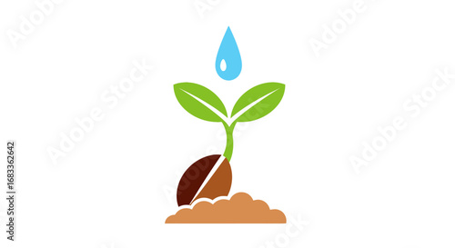 Vibrant green sprout emerges from seed with a nurturing water drop above, symbolizing growth and new beginnings.