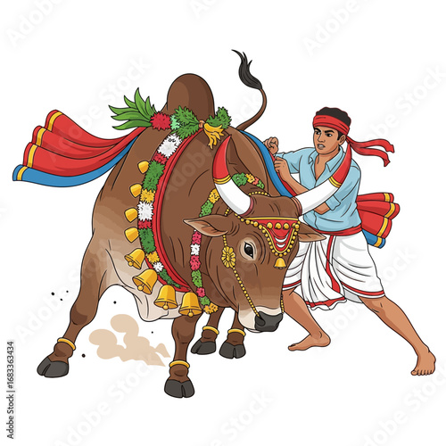 Jallikattu (Tamil Nadu), an ancient bull taming and cultural sport from India, a man holds a decorated bull, vector illustration