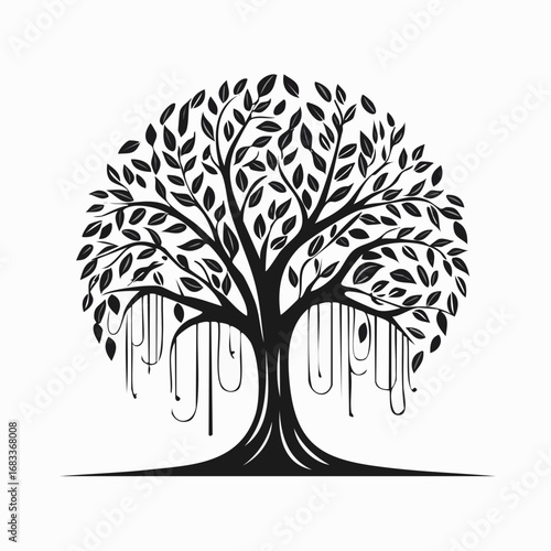 Weeping willow silhouette. This image presents a black silhouette of a weeping willow tree, showcasing its flowing branches and delicate foliage. Vector clipart illustration design.