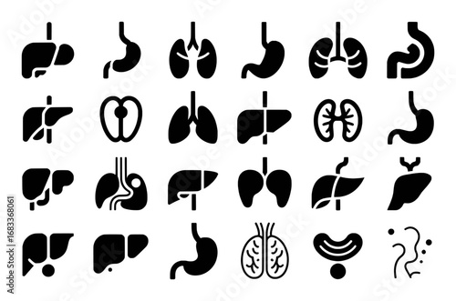 Collection of Human Organ Icons: Lungs, Liver, Stomach, Kidneys, and More