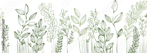 Delicate green foliage and botanical elements leaves stems