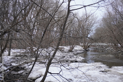 river in winter forest