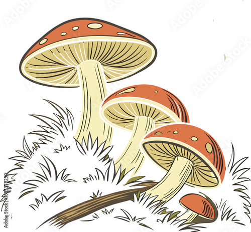 vector illustration of mushrooms