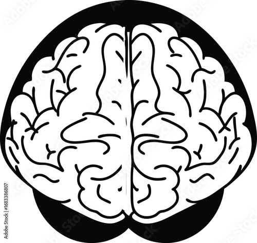 human brain vector illustration