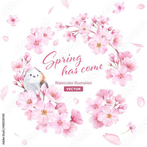 春の花：桜と小鳥（エナガ）の水彩イラストで構成した円形装飾フレーム。花びらの背景。（ベクター）