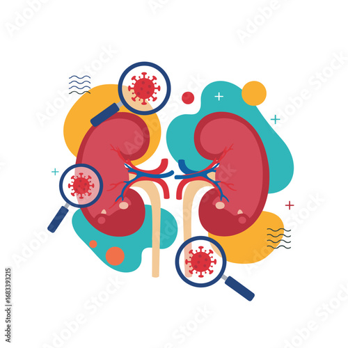 Understanding kidney health and how viruses affect these vital organs and their functions