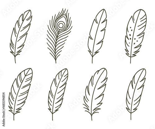 Elegant feather illustrations on gold background
