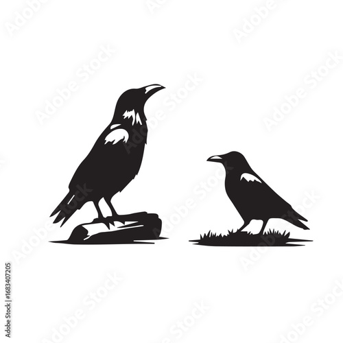 crow set silhouette tattoo,crow set silhouette png ,crow set silhouette flying ,crow set silhouette images