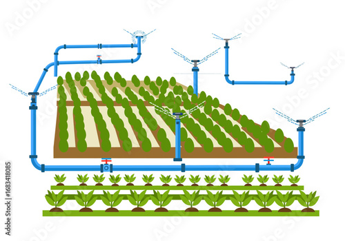 An automated irrigation system waters crops arranged in rows on a farm