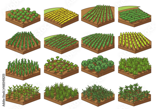 Cartoon farm plots display rows of assorted plants  trees on square patches of brown soil
