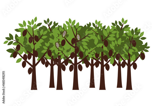 Cocoa trees stand bearing fruits amid lush green leaves and brown trunks