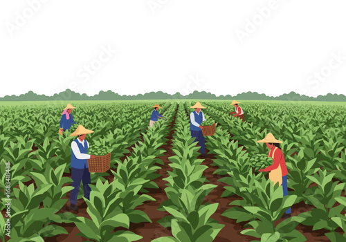 Farmers harvest crops in a field wearing hats  carrying baskets with a green horizon