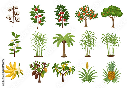 Fifteen crop illustrations including cotton coffee sugar cane bananas cocoa pineapple and a palm tree on a white background