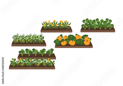 Rectangular garden beds featuring diverse crops arranged on tiered levels exhibiting various plant types in an outdoor setting