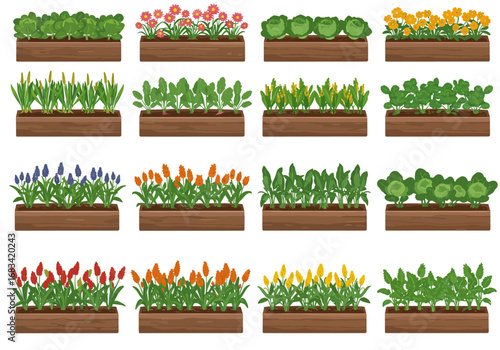 Raised garden beds with various plantscrops red orange yellow flowers green vegetables etc