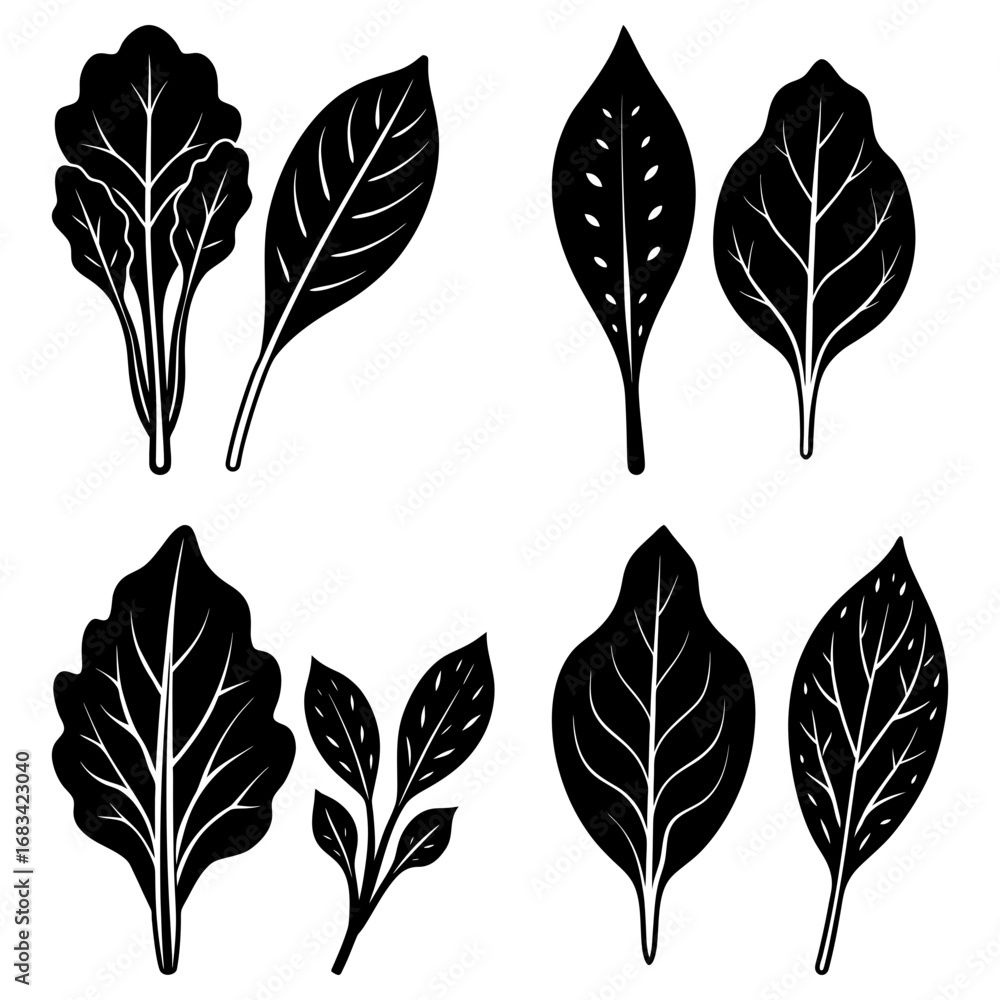 Fototapeta premium Illustration of eight black leaves with different shapes and vein patterns on a white background vector graphic