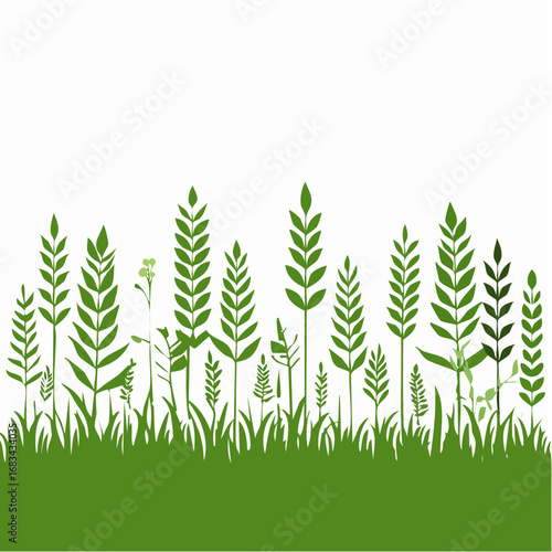 Meadow border, grass banner, herb silhouette