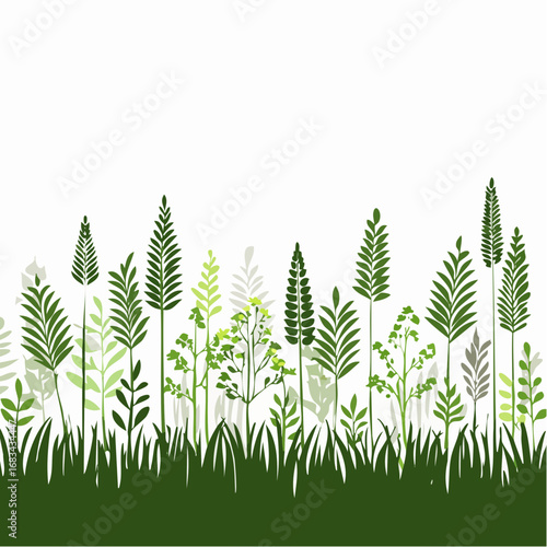 Meadow border, grass banner, herb silhouette