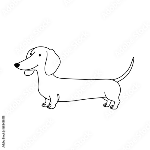 Dachshund dog. Educational coloring worksheet for printable pet bundle