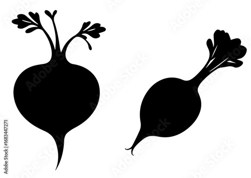 Silhouette of two radishes on a white background   