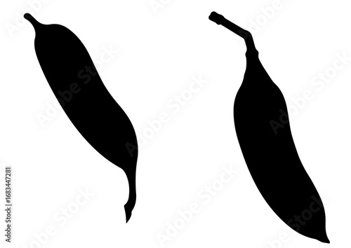 Silhouettes of two chili peppers on white background  