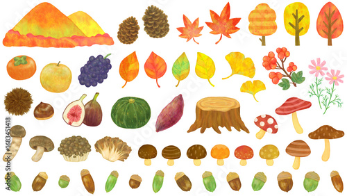 秋の植物・食べ物のイラストセット