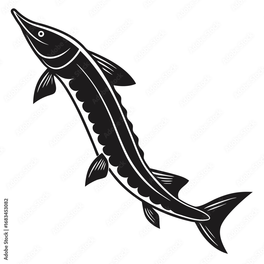 Obraz premium Black Silhouette of Lake Sturgeon Freshwater Fish Illustration