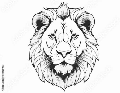 Photography Lion portrait lion head sketch hand drawn engraving style Wild animals Vector il