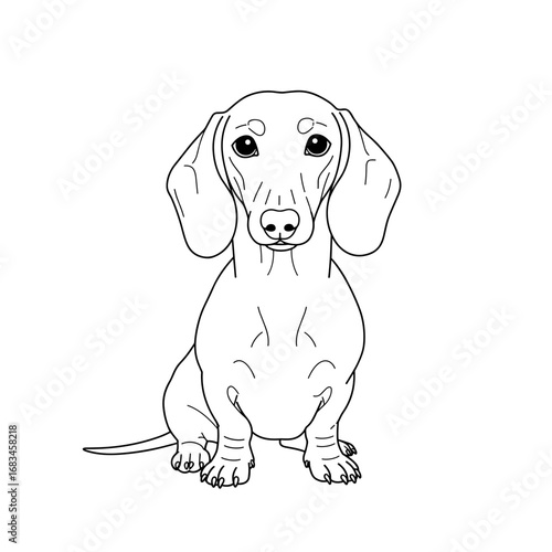 Dachshund coloring page. Laying pose printable dog for kids learning activities