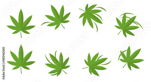Cannabis Leaf Vector Set