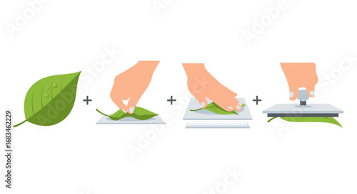Leaf Pressing Process