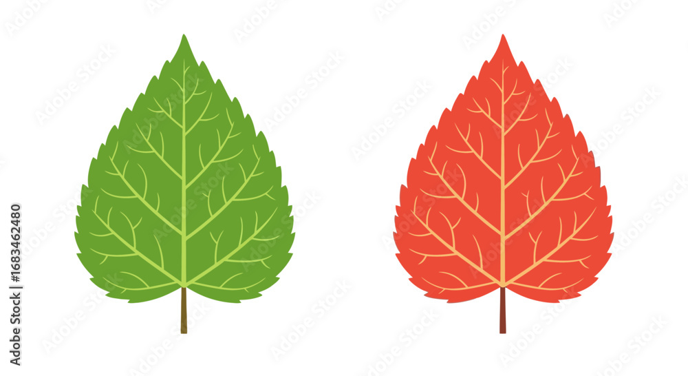 Obraz premium Vibrant autumn and spring leaf illustrations, perfect for seasonal designs and nature themes